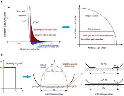 Contacts With Negative Work of “Adhesion” and Superlubricity